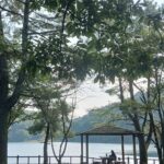 人口減少を救え