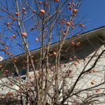 退職する社員に対する挨拶テンプレ