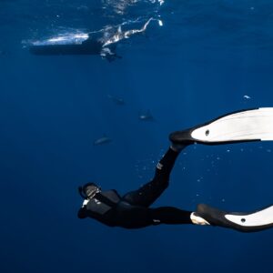 unrecognizable diver swimming in blue sea