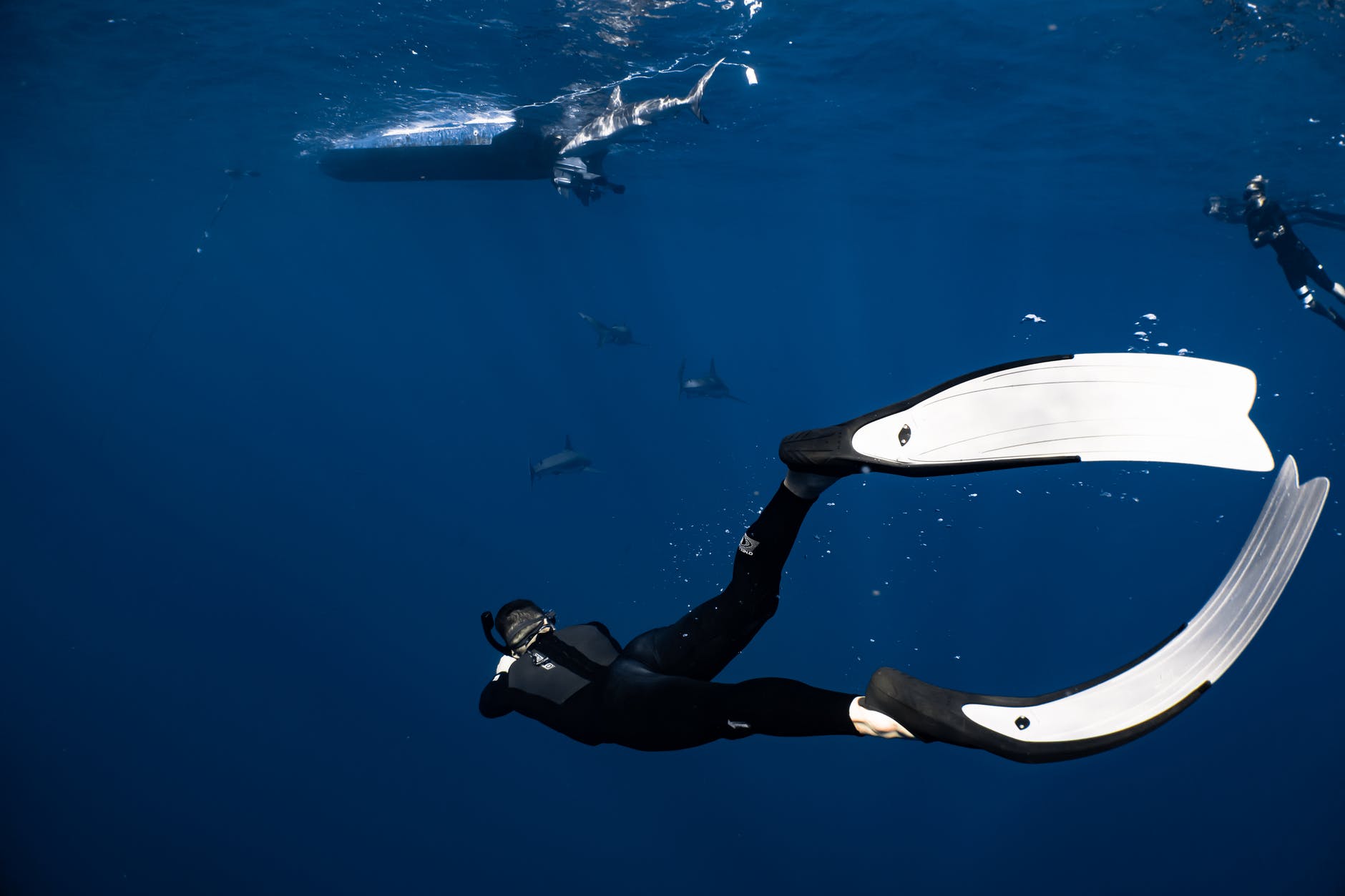 unrecognizable diver swimming in blue sea